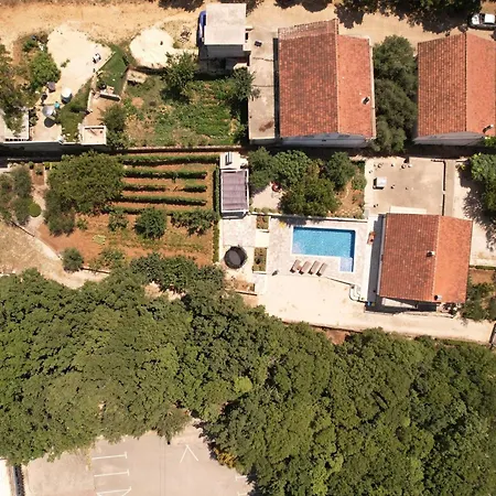 Tone, Makarska -
